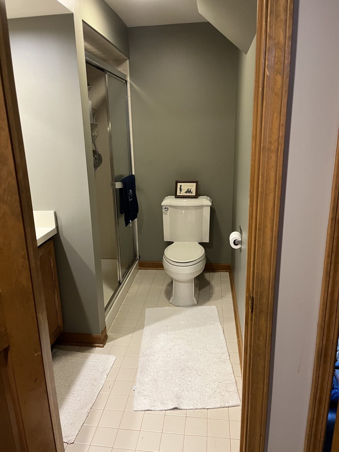 Bathroom Before
